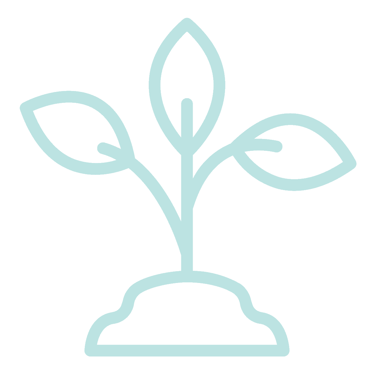 21b Consulting - A minimalist line drawing of a plant with three leaves growing from a small mound of soil. The lines are light blue against a transparent or white background.